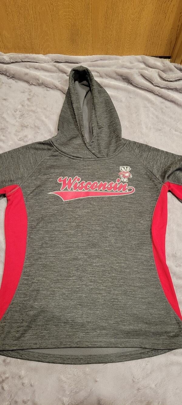 Wisconsin Badgers Hoodie Mens sz X-Large Gray Hooded Sweatshirt NCAA Cozy Fall